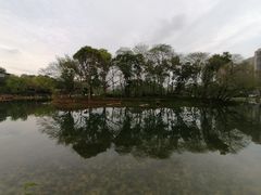 -北湖公园