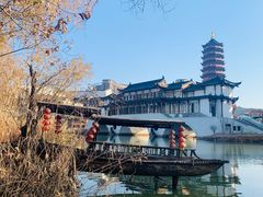 -长兴太湖图影湿地文化园