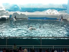 -秦皇岛乐岛海洋王国