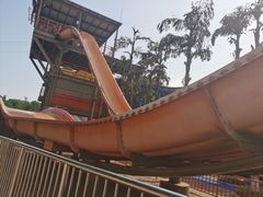 -重庆海昌加勒比海水世界