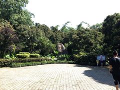 -福建鲤鱼洲酒店