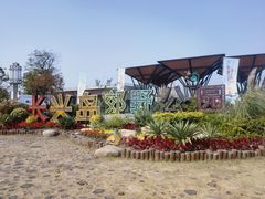 -上海长兴岛郊野公园