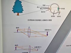 -陕西科学技术馆