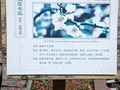 -塔子山公园