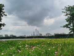-海珠湖公园