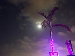 -望海观澜海景音乐餐吧(帆船基地店)