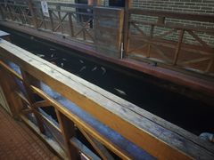 -侠成水上农庄(工业大道店)