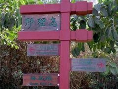 android_upload_pic-野狸岛