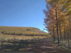 -塞罕坝国家级自然保护区