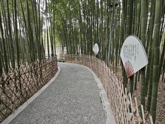 -陈家山荷花公园