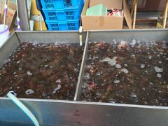 -段氏龙虾·烧烤·烤鱼(东书房路店)