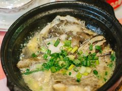 灵魂鸦片鱼头-好爸爸(印象城旗舰店)