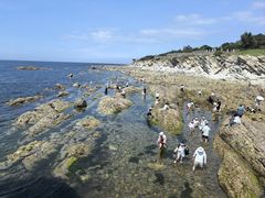 -养马岛旅游度假区