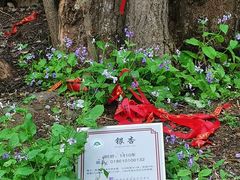 -西湖风景区十里琅珰-五云山