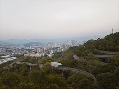 -福道