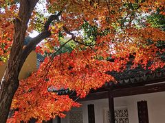 -虞山风景区