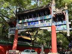 -北京国子监胡同