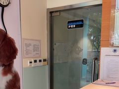 -瑞派申生动物医院·24H夜诊·国际动物医疗中心·骨外科(吴中路店)