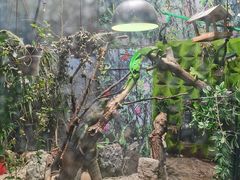 -上海大自然野生昆虫馆(东方明珠·爬宠昆虫探索中心)