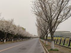-麦当劳(松江南乐得来速店)