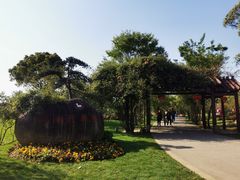 -鹅湖玫瑰文化园
