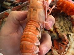 -Oban Seafood Hut..(Green Shack)