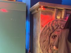 -不可思议减压馆·解压博物馆·摔碗发泄·团建定制