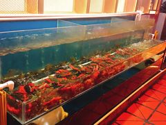 水产区-虾胡闹·澳洲小龙虾·烧烤(福田鲨鱼店)