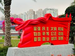 -野狸岛