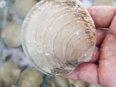 -阔澜蒸汽海鲜自助