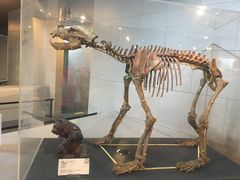 -北京周口店北京人遗址博物馆
