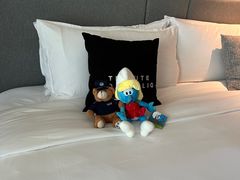 -上海佘山茂御臻品之选酒店(原佘山艾美酒店)