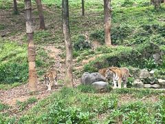 -杭州野生动物世界