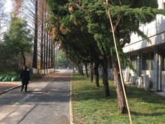 -南京航空航天大学(明故宫校区)