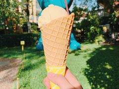 榴莲冰淇淋-莓园冰淇淋店