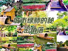 -望江楼公园