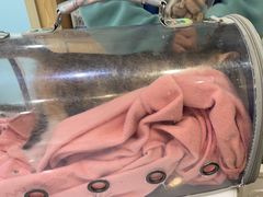 -宠颐生宠物医院·心肾内科·猫专科诊疗中心宠巢店