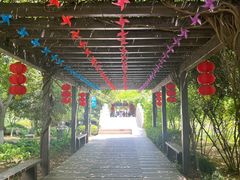 -白马涧龙池景区