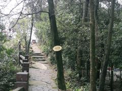 -缙云山景区