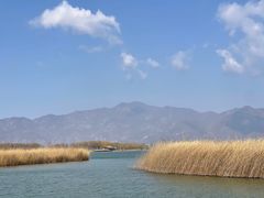 -野鸭湖国家湿地公园