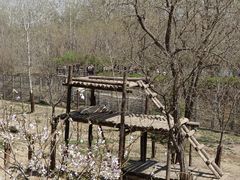 -济南野生动物世界