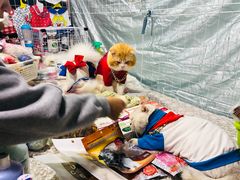 -吴山路夜市