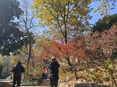 -径山寺