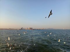 -老虎石海上公园