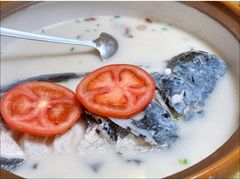 -全乐鱼馆·淳牌有机鱼直营店
