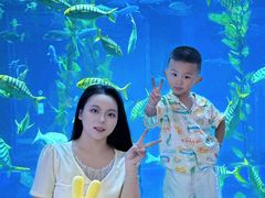 -南昌融创海世界
