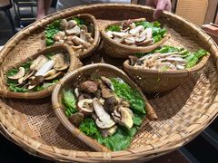 -滇野云南野生菌餐厅(陕西南路店)