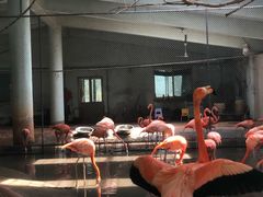 -石家庄市动物园