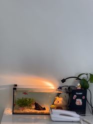 -HEYAN荷妍专业脱毛连锁机构