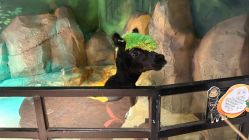 -酷嗒动物文化乐园(cutezoo西溪乐天城店)